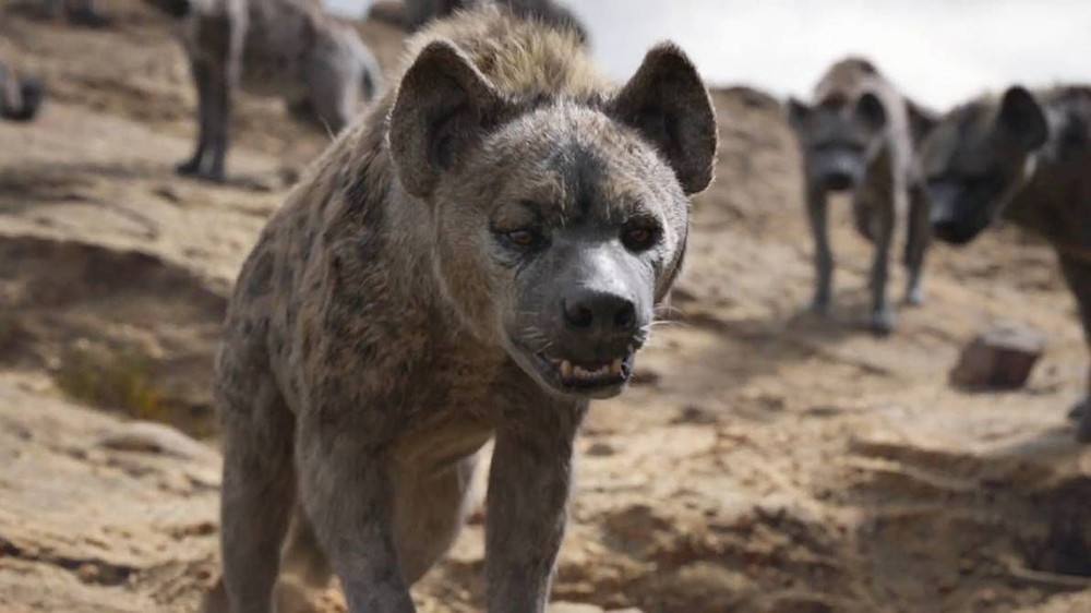 作为非洲二哥的鬣狗，为何不怕狮子怕非洲人？非洲人怎么对它的？