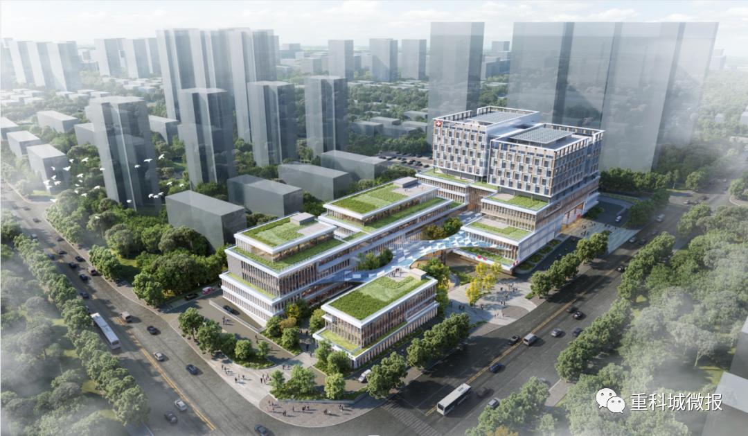 高新区人民医院中标公告,南阳市第一人民医院中标公告