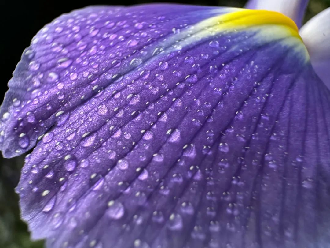 iphone14系列拍视频哪个最好,iphone14系列拍人好看吗