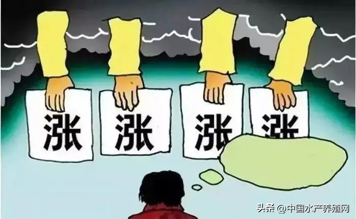 今年还可以养鱼吗,今年养鱼亏了明年还要养吗