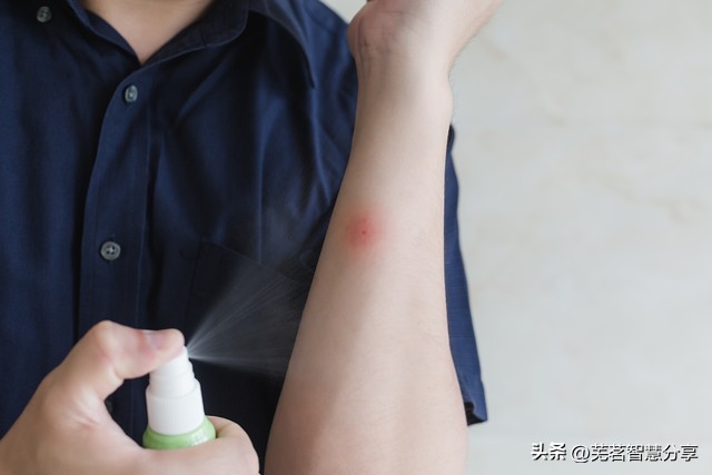 蚊子咬了拔罐管用吗,毒蚊子咬后可以放血拔罐吗