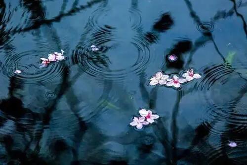 知福惜福造福才最有福,知福惜福造福就是幸福