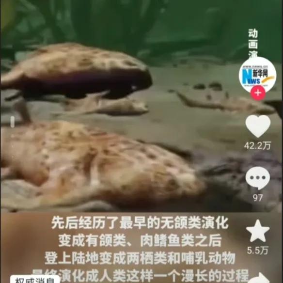 专家推测人类是从鱼进化而来的,科学家怎么证实人类由鱼演变而来