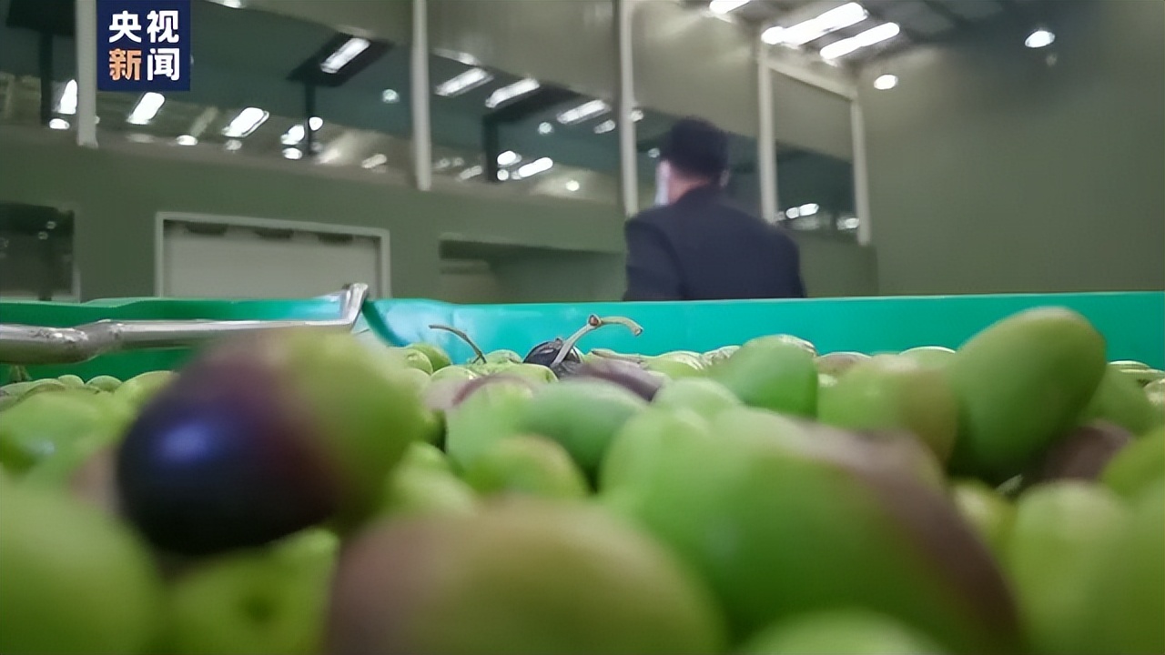 万象“耕”新丨现代化生产营销“土特产”变“抢手货”