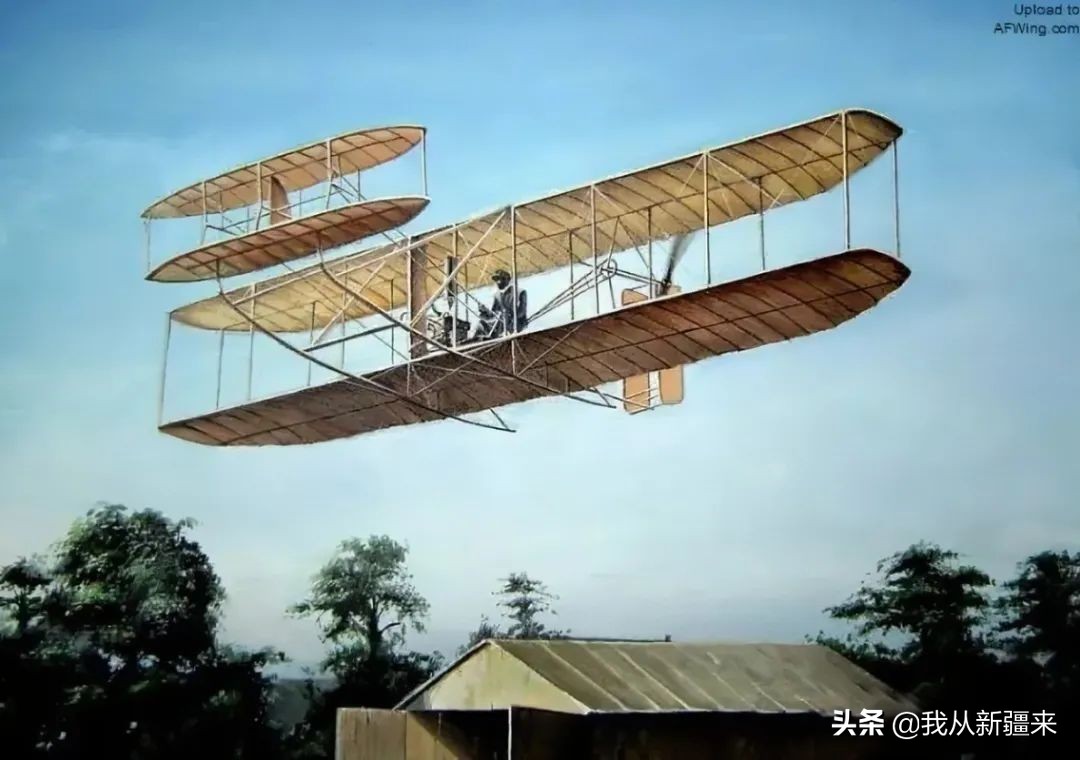 新疆哈密翼龙,天山哈密翼龙