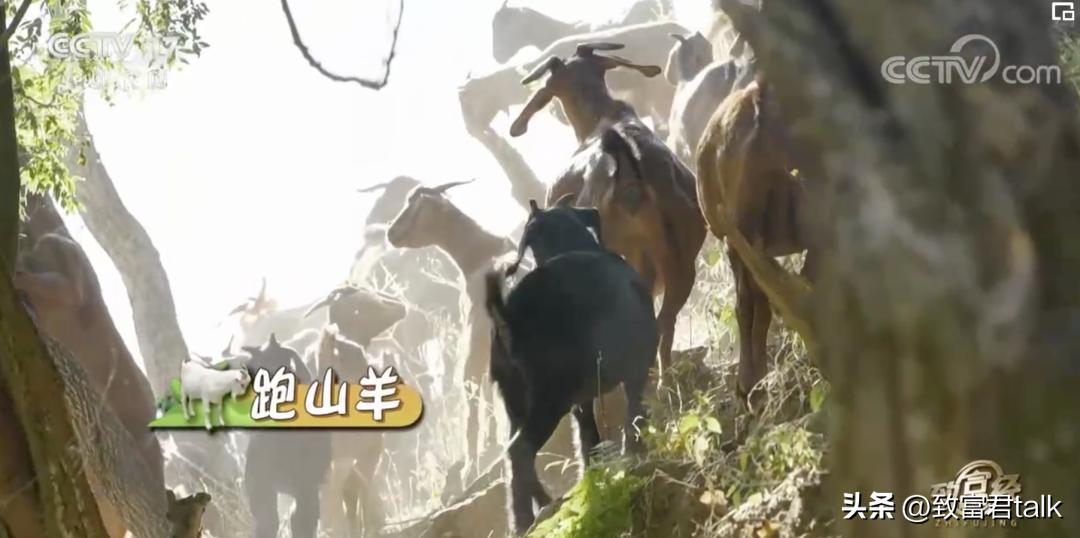 最想去打卡的早餐,藏在西南的小县城里,年产值上亿了