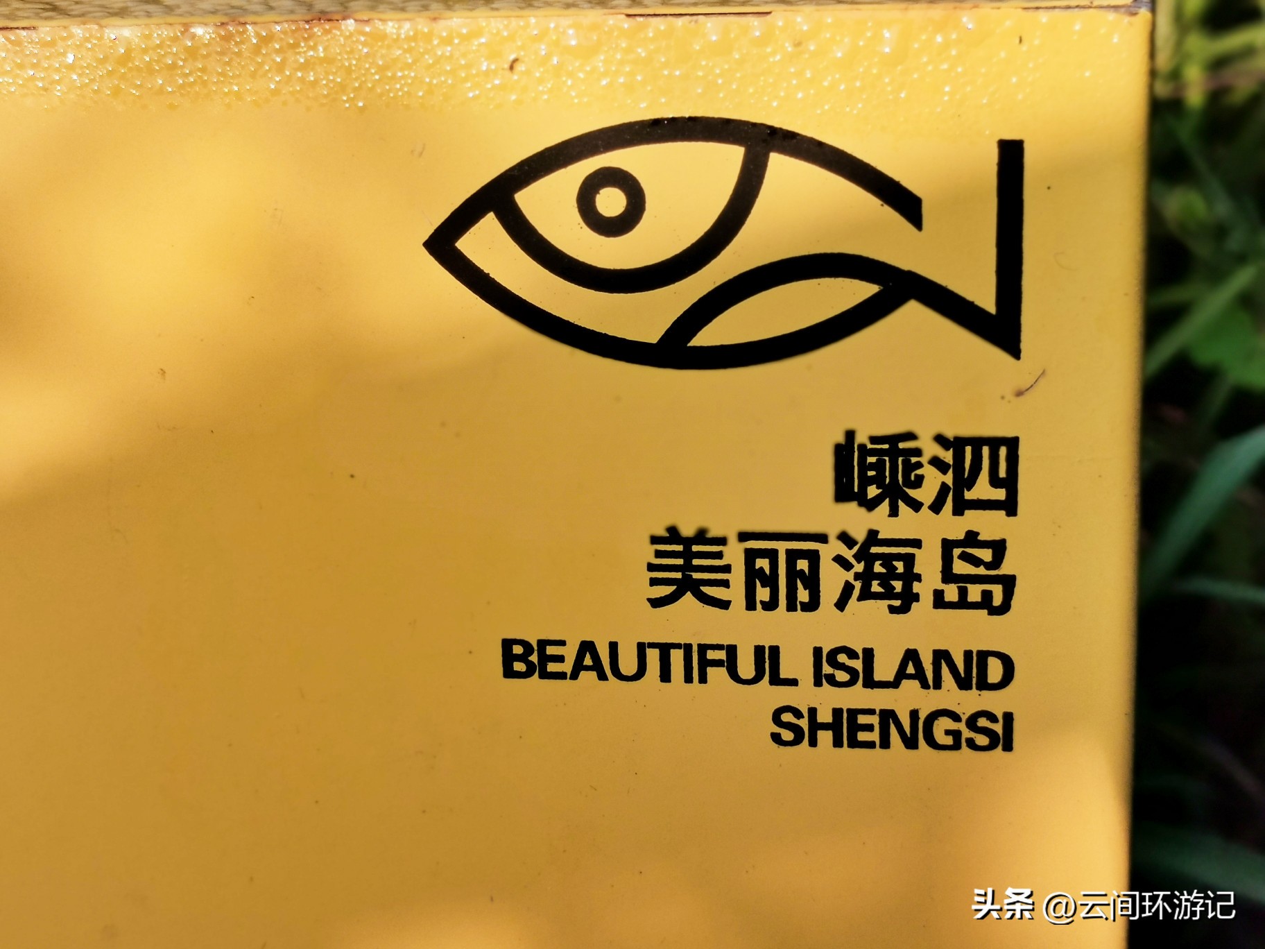 枸杞岛哪里看日落,去枸杞岛看蓝色的海