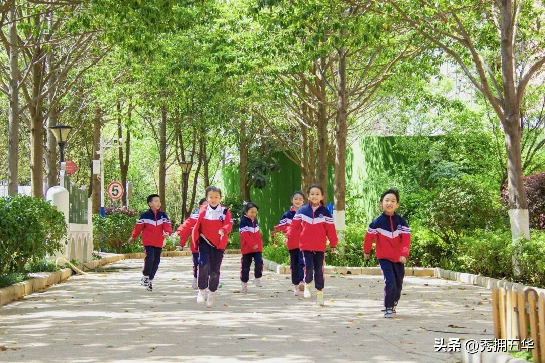 把春天装进校园里作文,把春天装进眼里