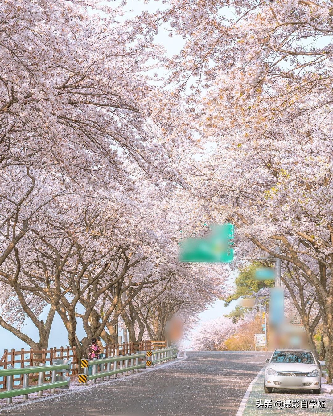 把景色拍得很好的滤镜,把景色拍圆