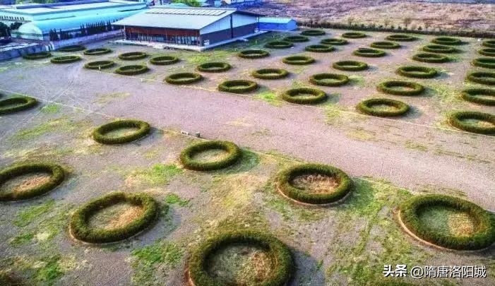 看鉴三国至隋唐的文化,看鉴唐朝