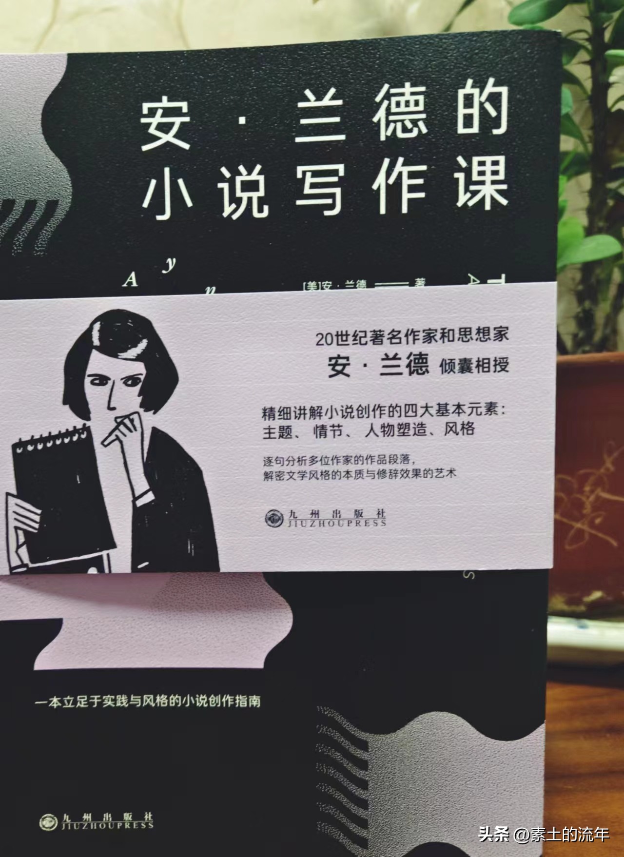 安兰德的小说写作课百度网盘,安兰德写作课