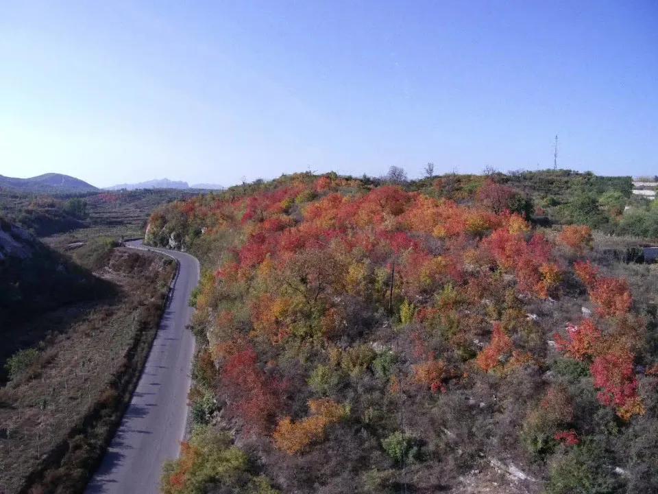 种田是农民的出路,农村农业农民的出路在哪里