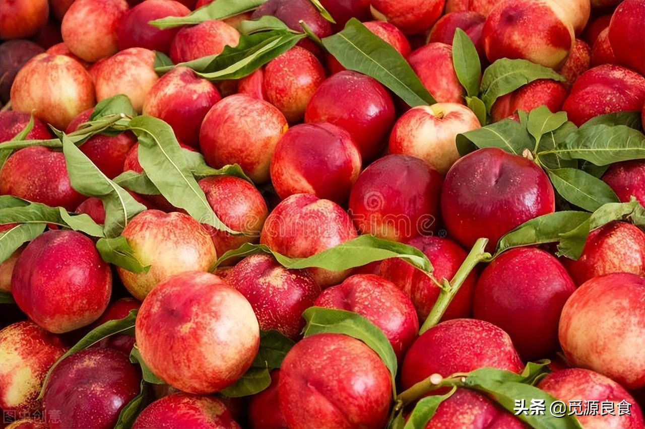 怎样挑选油桃正宗,好吃的油桃怎么挑选