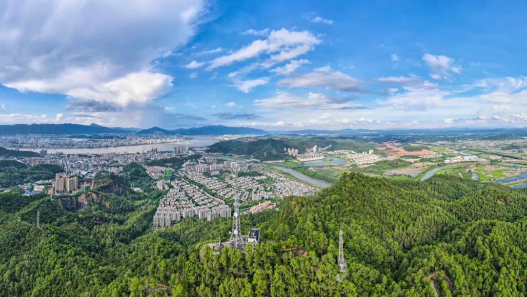 新华网、央视等多家媒体报道！肇庆这道“菜”出名了！