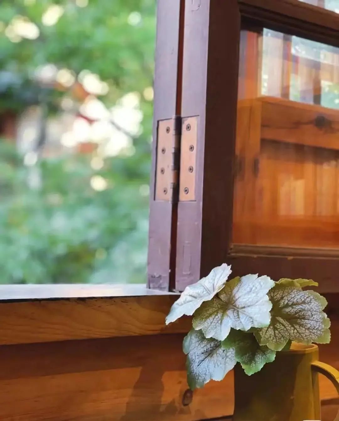 嘉华最好吃的糕点测评,昆明嘉华糕点