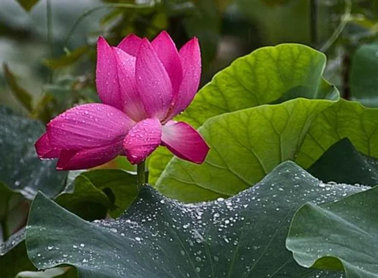 不回复你微信的人直接拉黑,这样回你微信的人就别联系了