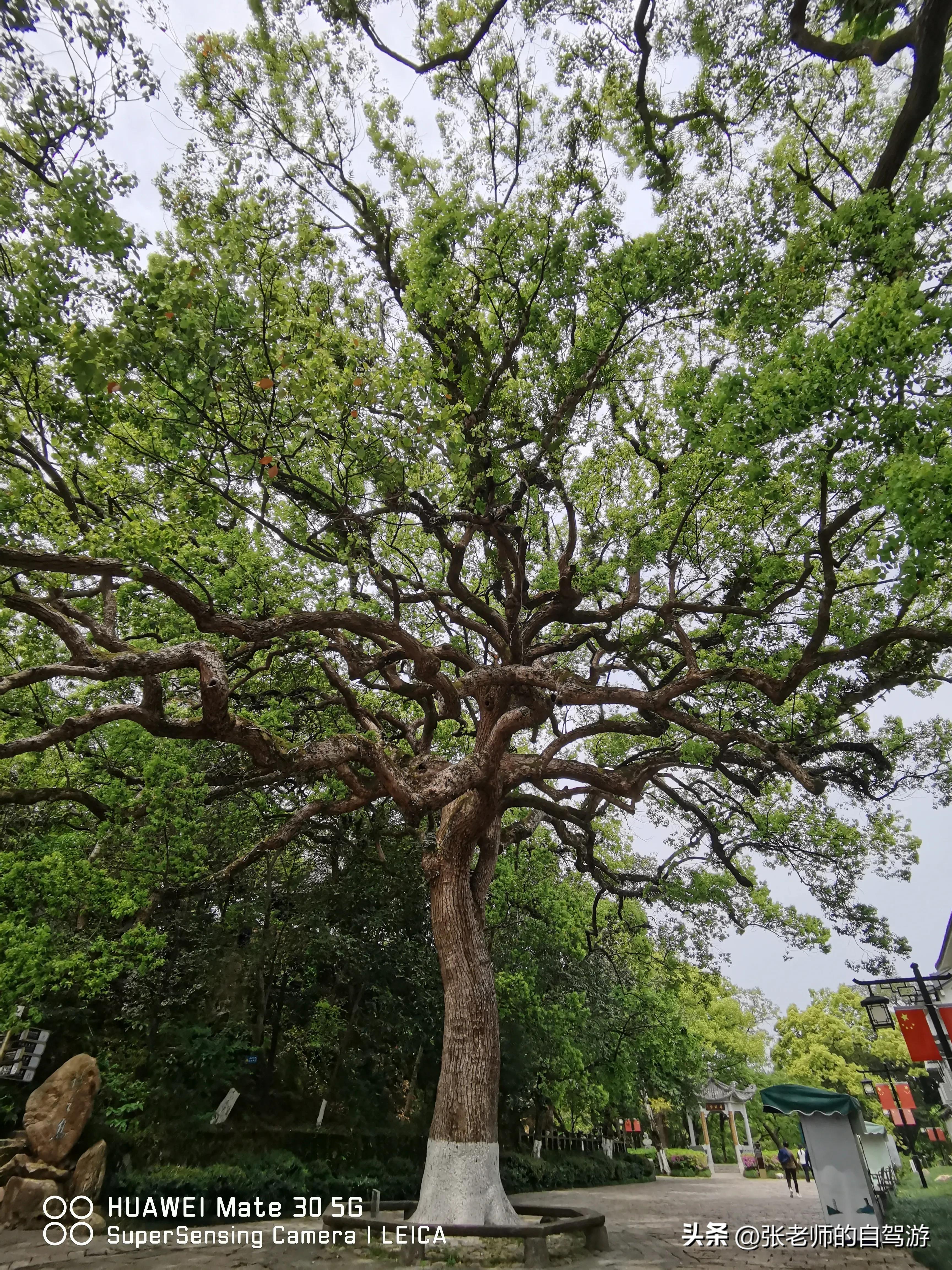 自驾环游中国最佳路线图费用,盐城到海南自驾旅行攻略