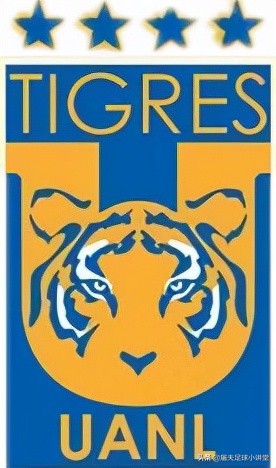 盘点足球运动员的满背老虎,虎年篮球预测分析