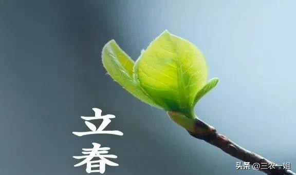 天气预报视频倒春寒,元宵节农谚谚语