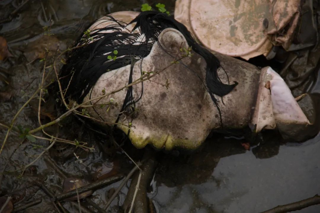 搬离城市，坐火车上班的年轻人：获得了真正的快乐！