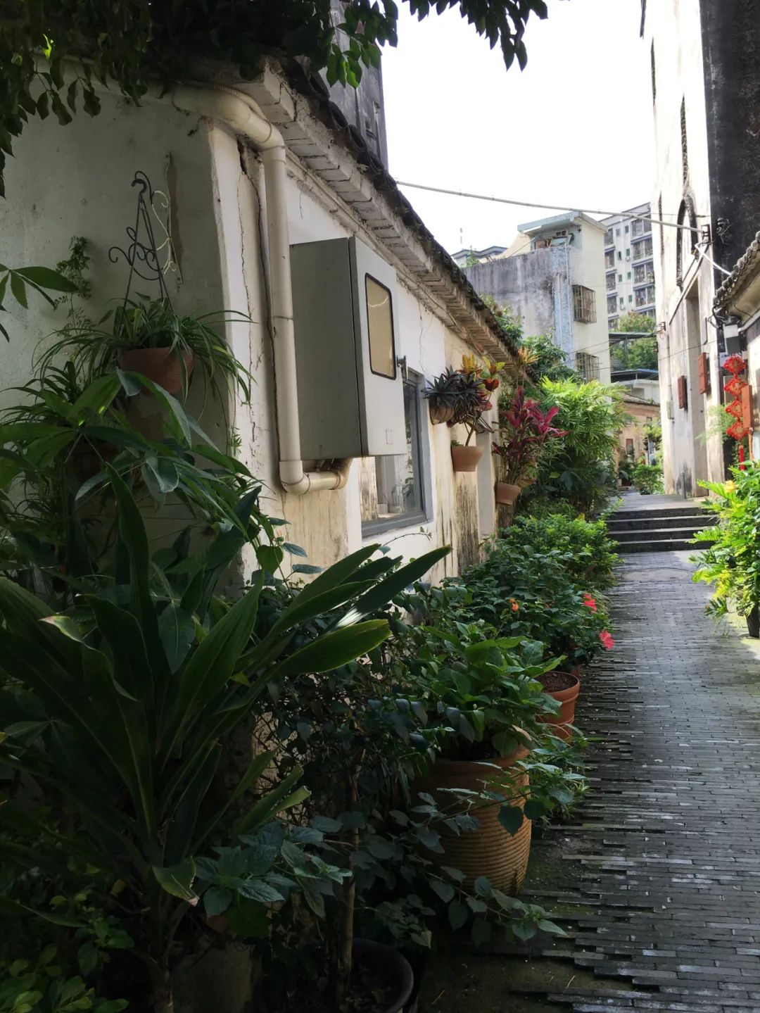 《旭光骑行深圳》第22站——龙华区观湖街道