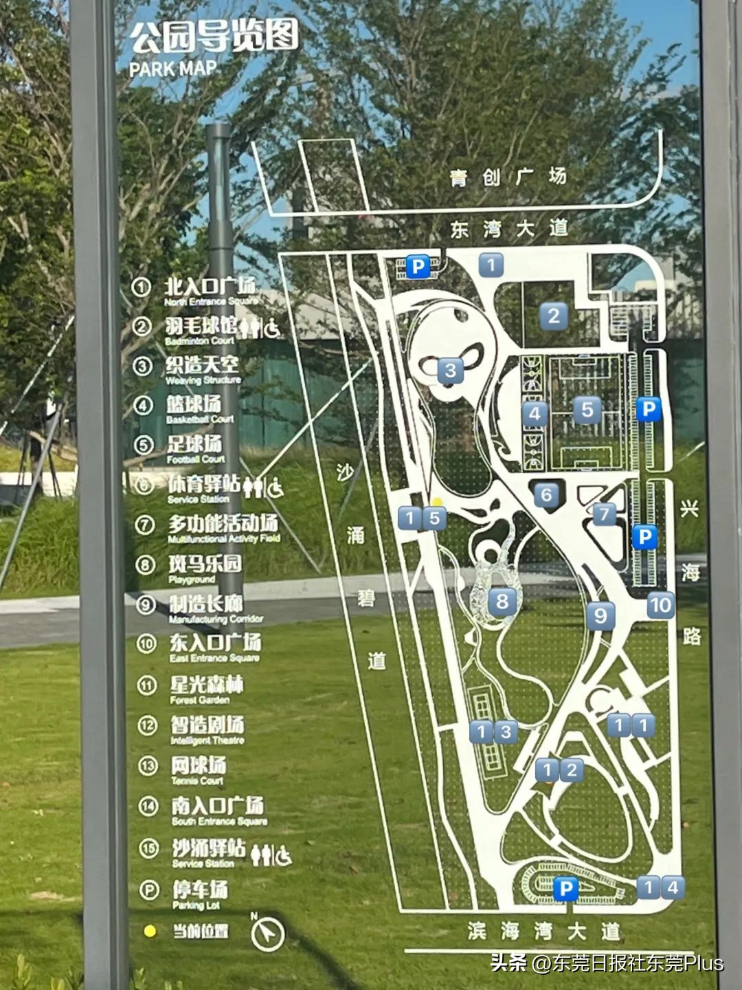 东莞可以看海和赏花的公园,东莞国庆看海游玩推荐