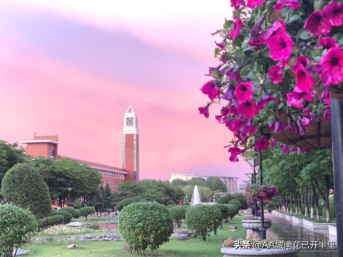 575分录取到东北师范后悔了，网友：还嫌弃东北师范，去复读吧