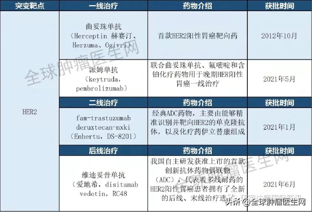 收藏|2022胃癌已上市的9大靶向,免疫药物信息大全