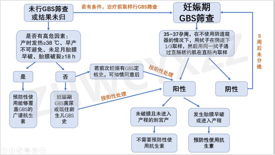 剖宫产有必要做b族链球菌检查吗,b群溶血链球菌孕妇最佳检查时间