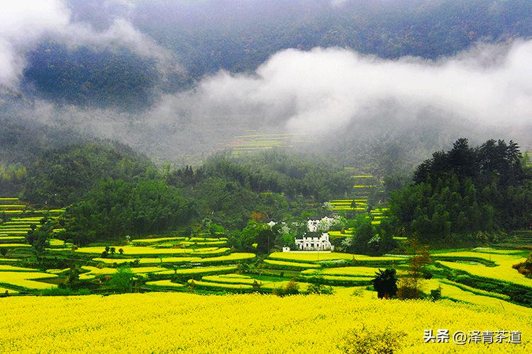 写春天的著名唐诗宋词加赏析,十首描写春天的宋词