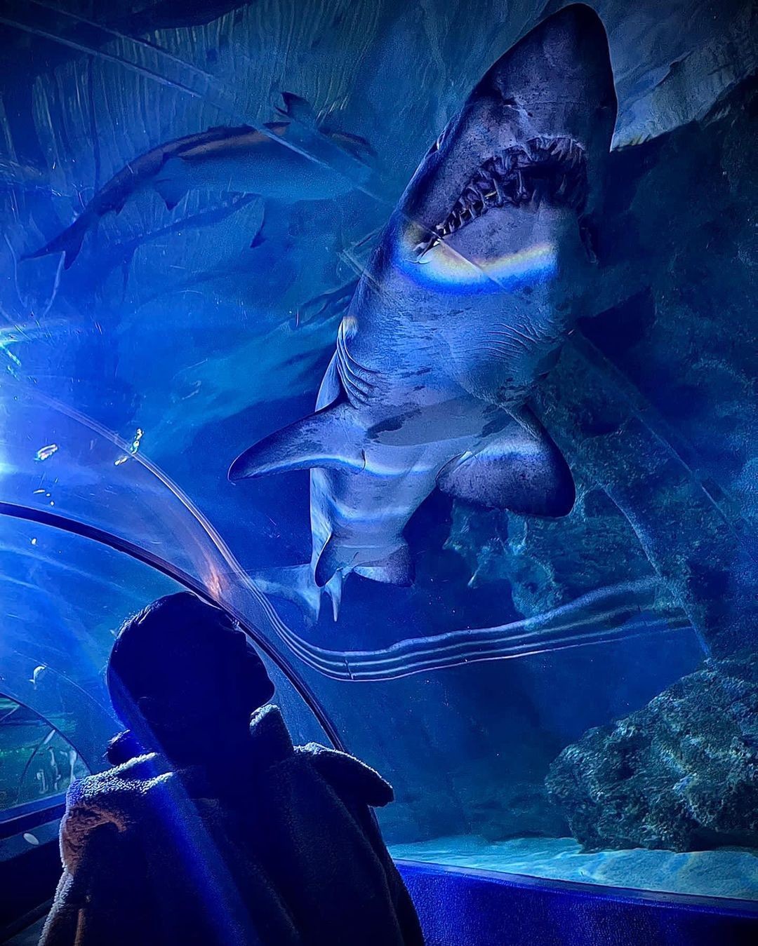 c罗晒全家福图片,C罗晒与大儿子合影