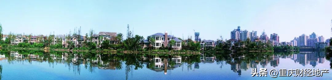 从*旗国**手到保安，我与香樟林守望20年