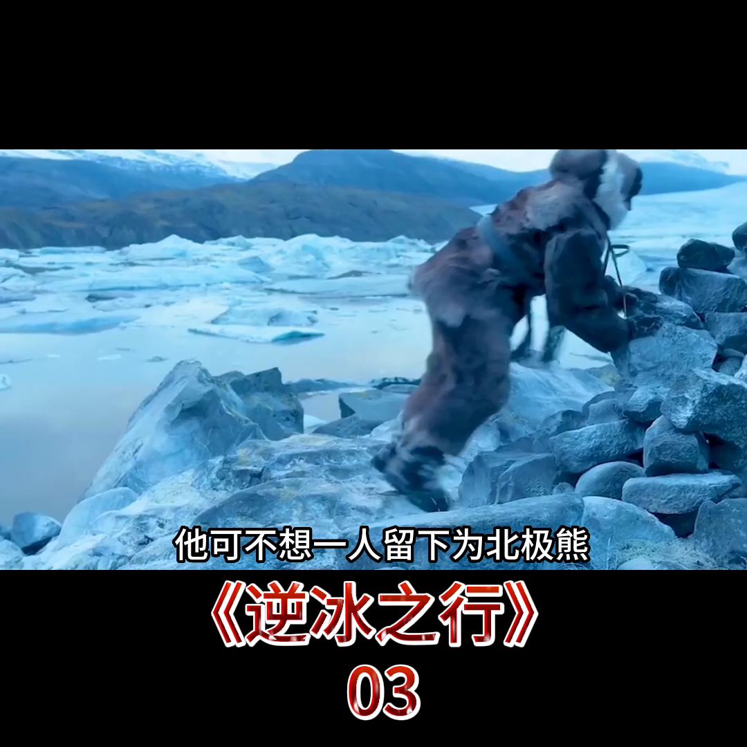 极地探险700天完整,南极探险700天