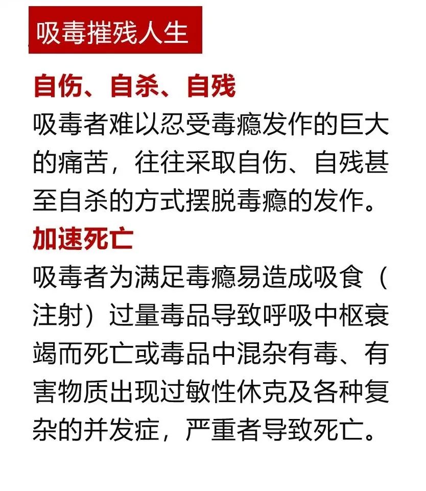 禁毒日来临珍爱生命远离毒品,禁毒日远离毒品珍爱生命图片