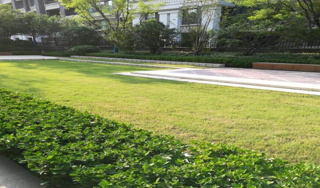 豫发3社区获评“郑州市节水型居民小区”