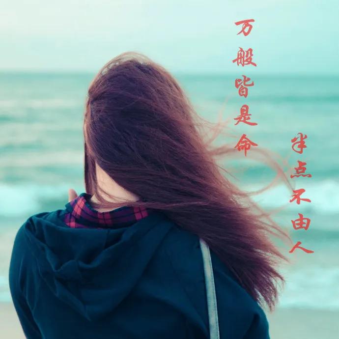 万般皆是命半点不由人图片,万般皆是命半点不由人歌曲
