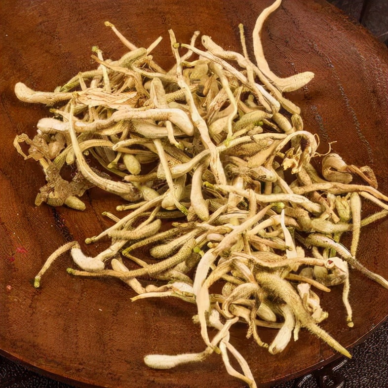 凌冬不凋，藤绽金银——忍冬