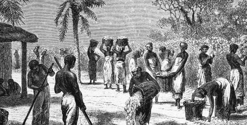 进步时代的联邦公司提案——前言篇