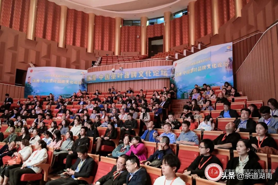 一叶茶里看振兴丨“潇湘茶”品牌价值又一次挺进四强