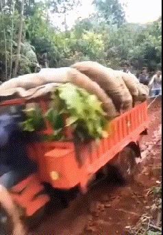 丝袜上可以纹身吗,女生纹身还能穿丝袜吗