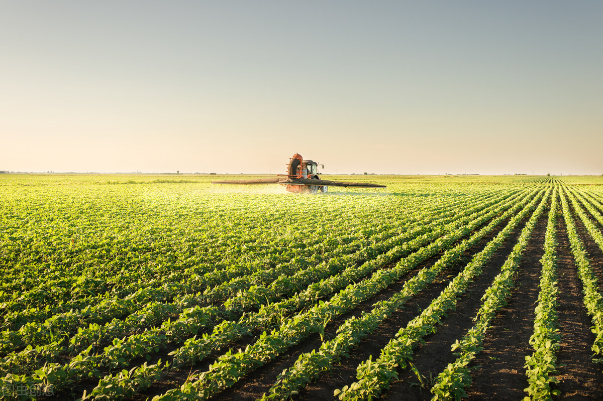 椋庢儏鍙ゅ反,椋庢儏鎷夌編