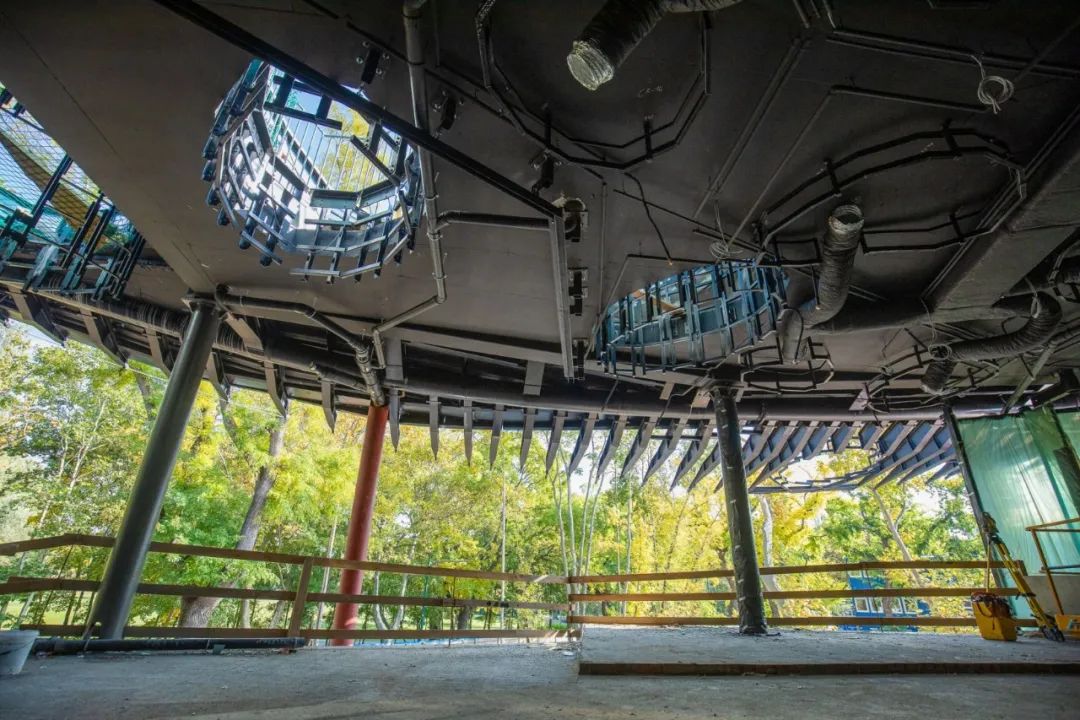 与藤本壮介一起走进金色叶子‘殿堂’，匈牙利音乐之家