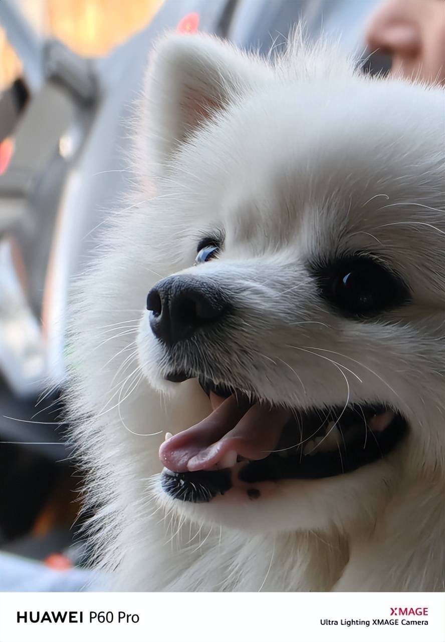 华为p60旗舰新品价格揭晓,华为p60值得入手吗紫色