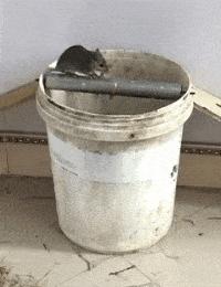 女生衣服上的字母含义,你知道衣服上的字什么意思吗