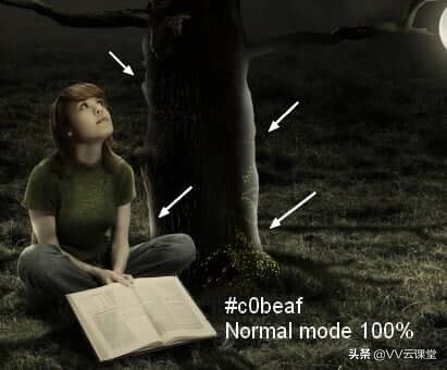 在Photoshop中创建带有月亮的树的超现实图稿，VV云课堂教程