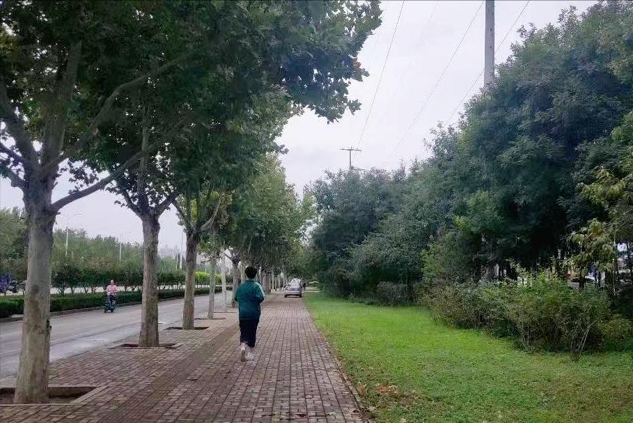 精简生活100例,精简生活必备10件物品