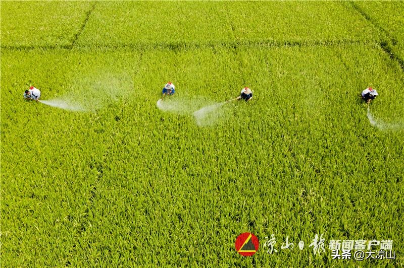 西昌市2021年地区生产总值,西昌实现一季度经济开门红