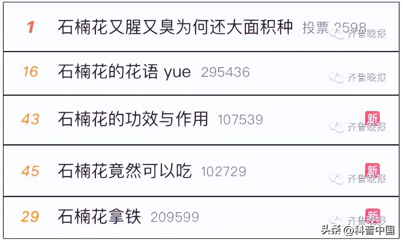 石楠花很臭为什么满大街都种呢,石楠花好臭为什么满大街都种