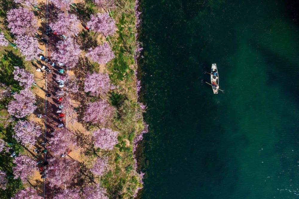 千万工程塑造美丽乡村新华社,千万工程助力乡村振兴事例