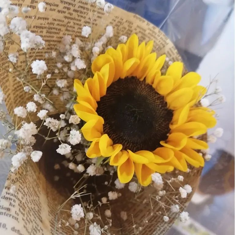 小众ins风微信背景图,微信聊天小众背景图